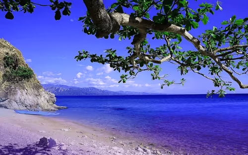 Incredible Nature HD #1