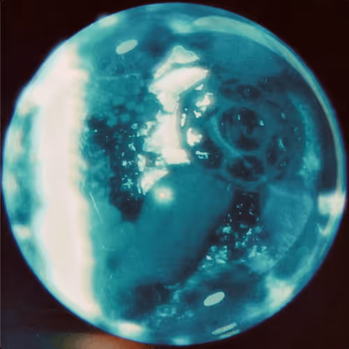 Item #57828890116558220899082499141599508700345016303804462315753535481424681893889 Media