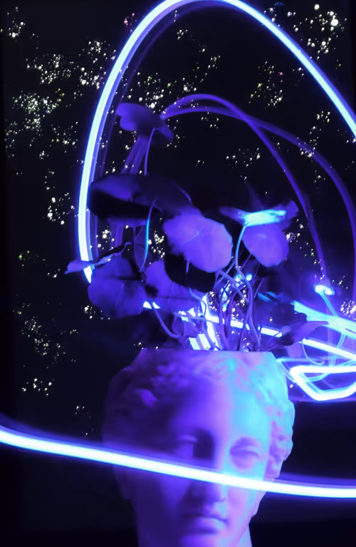 Item #46267743495132859547511032037696953227726596585589071183384475942940110225409 Media