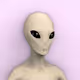75317521654844928011442235037971825263063970787729373374065806902086944686081