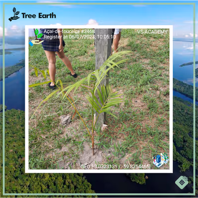 Item #8500196597889277390194123329501889087166328879864934763448349305302406922241 Media