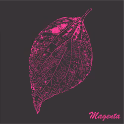 40167138637940562108431742001123872206105593199433866487640627842864371466241