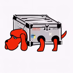 Carrier puppy