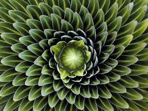 Item #39629935389522237345664437028542438492977381533873015043488418109103466872839 Media