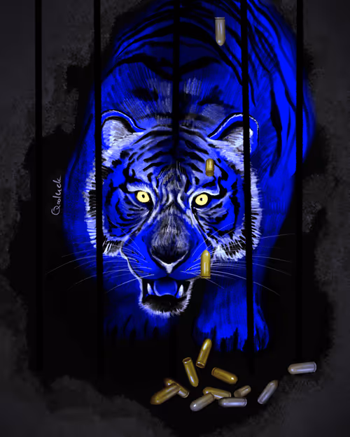 Item #37489795653285448128715209514701845439492906931898334691294867270983160430600 Media