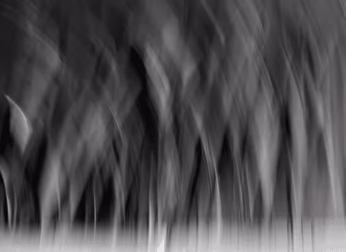 Item #23265726314410109476129301555838572111439838682222879854994044605966514651137 Media