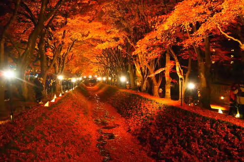 Item #109856220298400902651076580767902450481001671145135042895744925549703481786369 Media