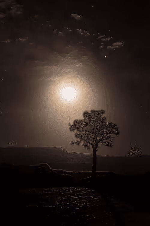 Item #52655132106615007427639537052126499358755561016261279021780266147310985019393 Media