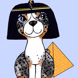 43115574000057118557944420121181590544146429277052068556631778196499011207169