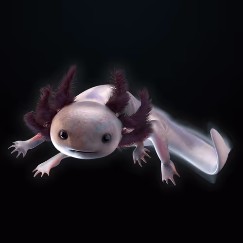 Item #39982110375740153587505644478940195082872270202471884348459982372300126158849 Media