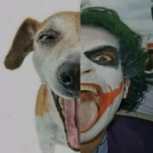 Item #16964185291779018647508030796143885508517684175872023408727531613302359588865 Media