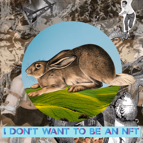 Item #3530187889540553224700552633621350802399192504372702264799301458035151470593 Media