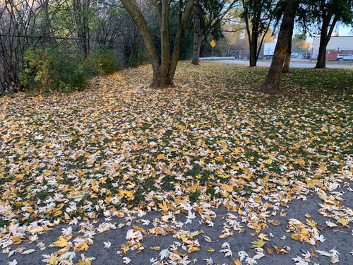 Item #37517144756306167307702143663440253967182875279935669856628957648094066900993 Media