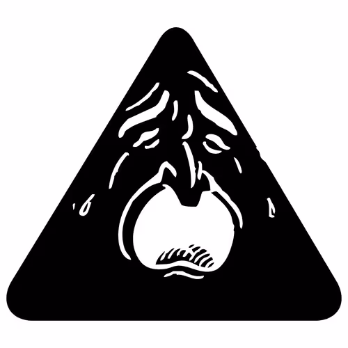 Item #38814018653181023049545941312625482755958079670530165424371848683480871337985 Media