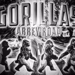 48790520787155310426102062731270564561928034817995506544027698512865488011564