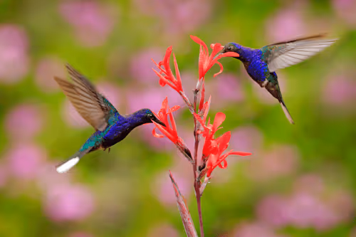 Item #25621925064279012681246301446131385931262547461970292834419122492672602800129 Media