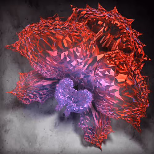 Item #25453788689510554603885852270027977243626076098541002992990204182238265868289 Media