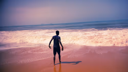 Item #41608925496439583284809555663885876184163164530978979239857956441921844936714 Media