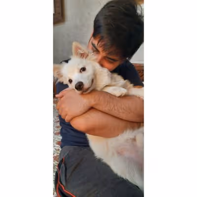 Item #85817953198240177984037173301956539091524652005473962328716553367948716146689 Media