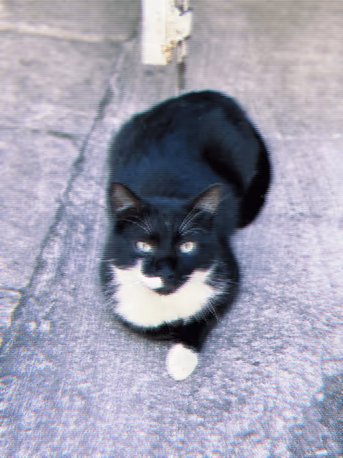 Item #102650025238985064889532626323507420633017859616961165632132730442186384998401 Media