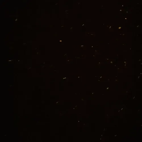 Item #47789164792806612287327598209627812306437635164297398358849641337659567636549 Media