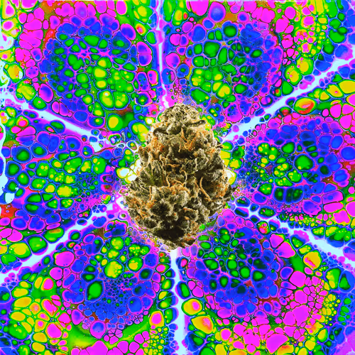 Item #13955282856406335165414100891374623718709547313428947888299033994539718148106 Media