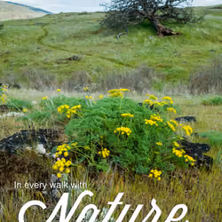 1000th Word | Nature