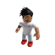 Nft_Roblox Collection