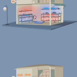 Fish shop