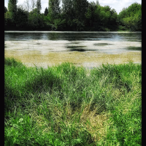 3787080761074609709675817509753112159059746763483256848434353795290919600129