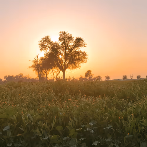 Untitled Collection #378836257