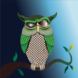 wise owl