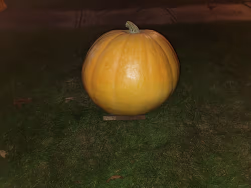 Item #59387618449114500139204553376349089027368460030531793206769396864068832198657 Media