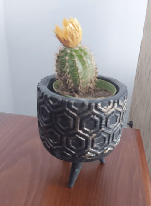 Item #106597562129877688518074183313556473389448438799940443127829440804649500147713 Media