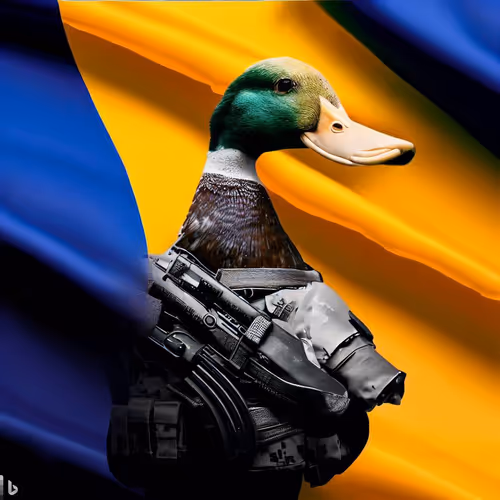 Untitled Collection #213028361