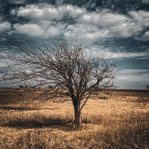 Item #4815288575693755657548734875435737695765998381982163968810255455591807844353 Media