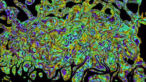 Item #28276157551077297175944571750841174861794122548634016422838008136074440736799 Media