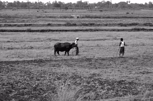 Item #109579018027133606473158902058456759875658318669045531735484408536113960976385 Media