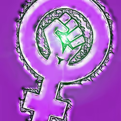 Feminism v.1
