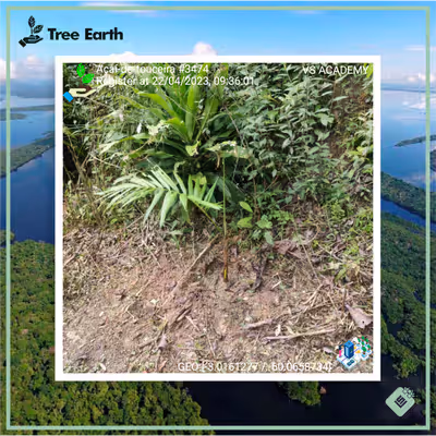 Item #8500196597889277390194123329501889087166328879864934763448349331690685988865 Media