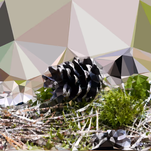 Item #78841231418142414465480757751600348247366621658136762833954179649487604023297 Media