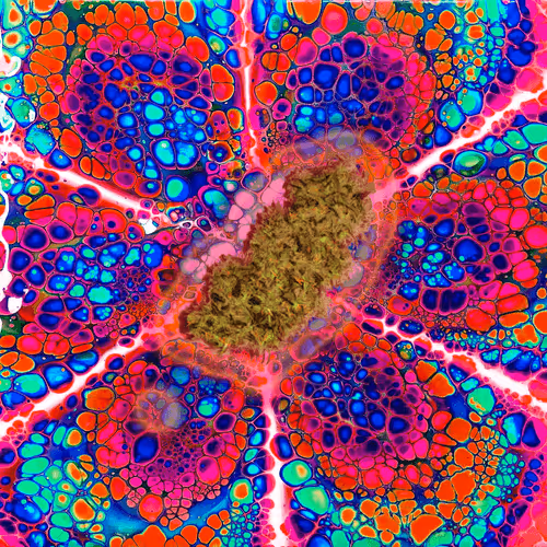 Item #13955282856406335165414100891374623718709547313428947888299034033022625120356 Media