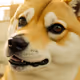 76849618615982932184633609386710875770209546028935321334243872223755619008513
