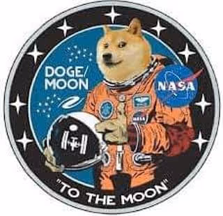 Item #594615058559919715238025687917740213328570310565684547489456952389075468338 Media