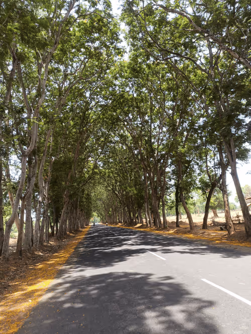 Item #114030667880996442656286279708537615189998227583354175200781407179344149741668 Media