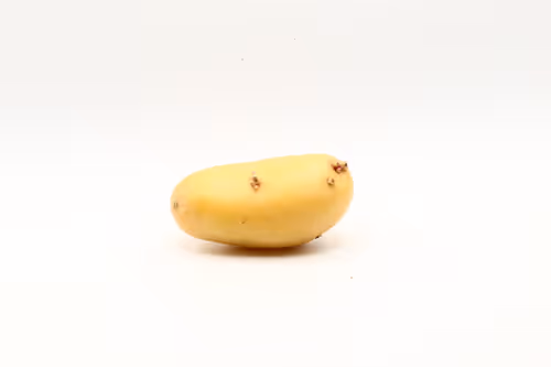 Item #97726151104522163495278545296769301934737660224123995419035737120190951849985 Media