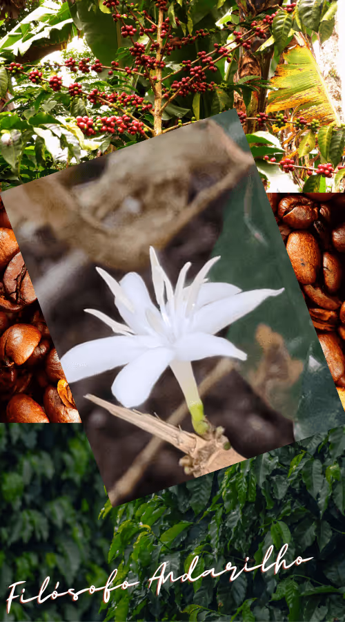 Item #42165497215799268651933513800091680414625417379712449060150831238523098497025 Media