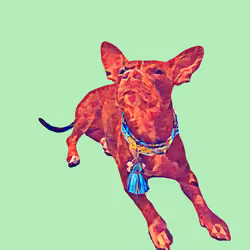 Maya #147