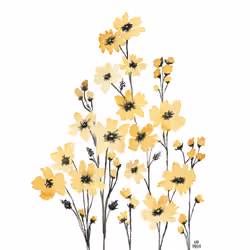 Fields of Yellow