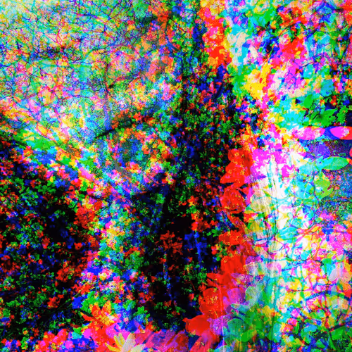 Item #72995201234096631503112503221462823398193720334652621921690015910530151088129 Media